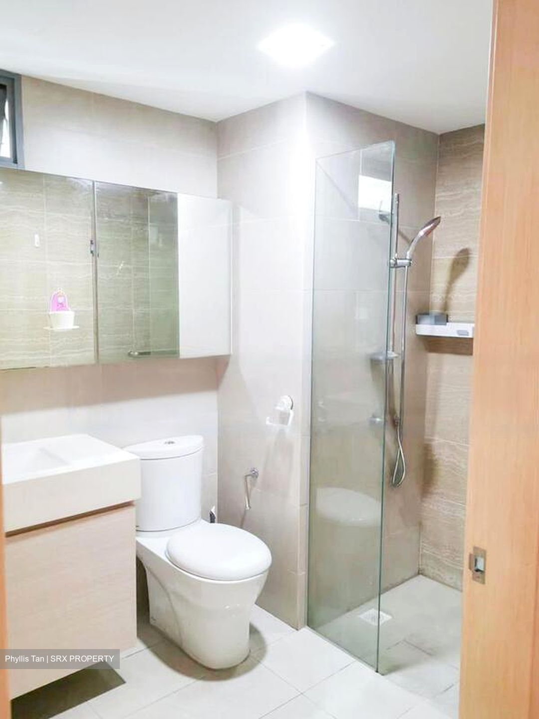 A Treasure Trove (D19), Condominium #432998131